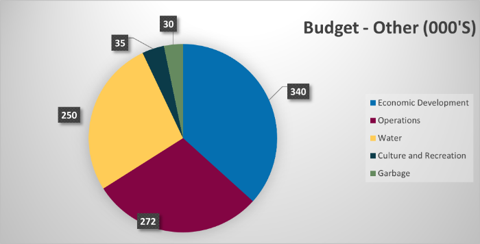 Figure 3 - Capital Budget (Other)