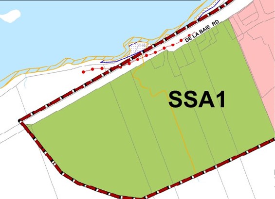 Map showing the subject lands within the Urban Area and designated “Special Study Area 1”.