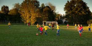 Children playing soccer in park