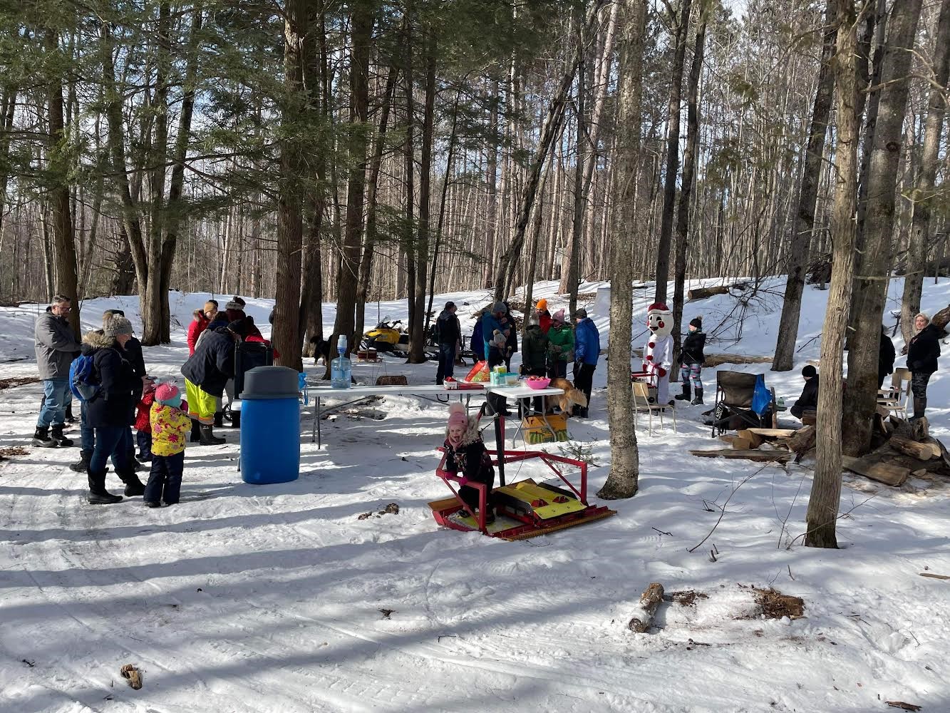 People enjoying themselves in the forest in winter. 