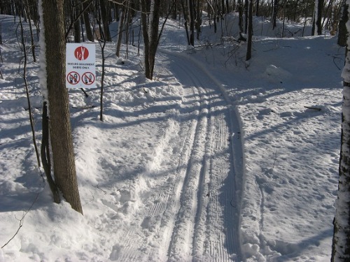 Piste de ski de fond