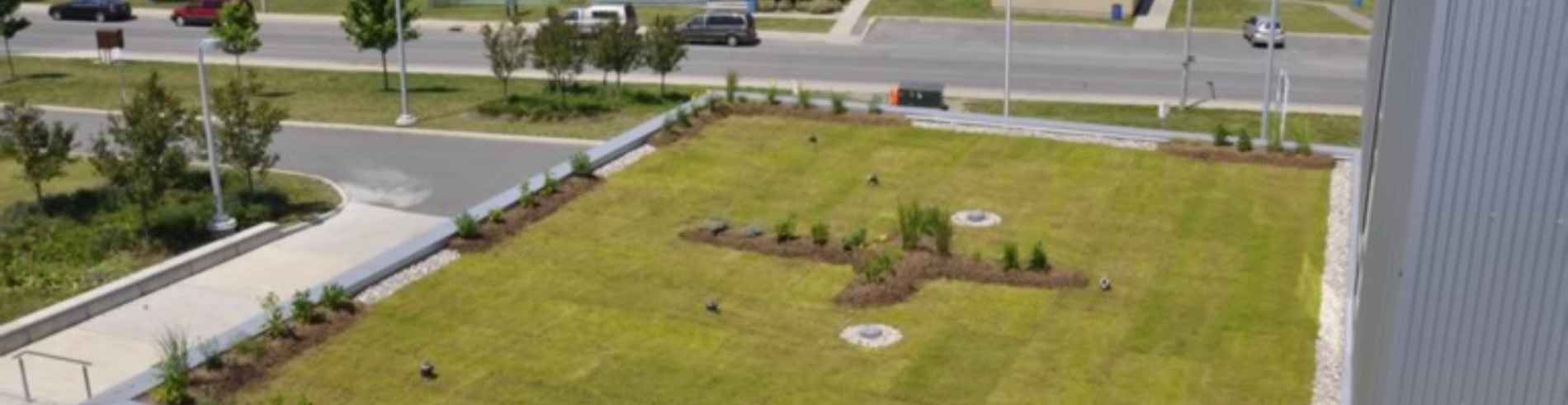 Green Roof