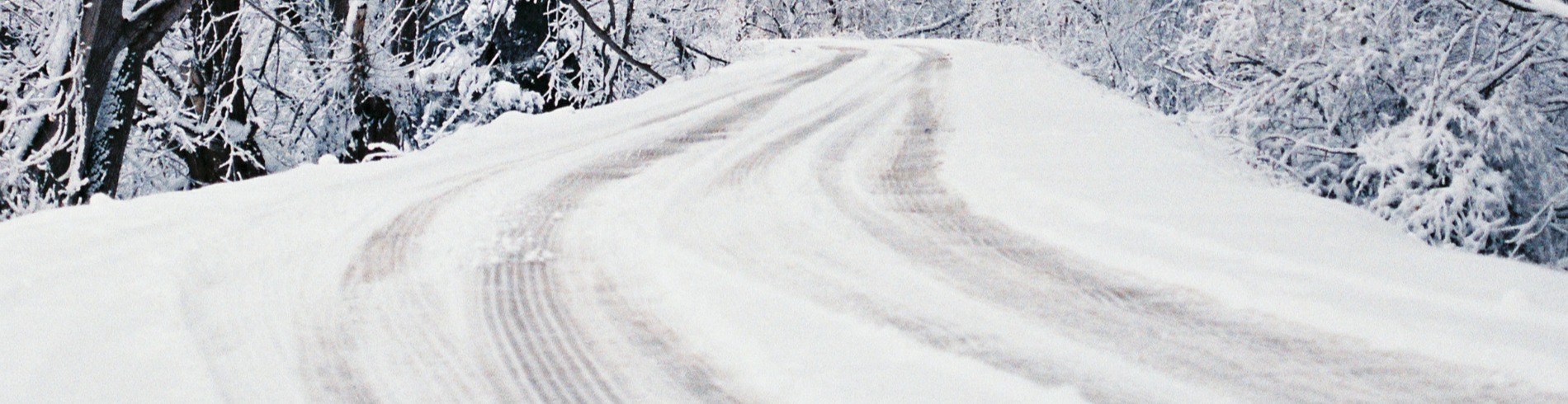 Allée couverte de neige