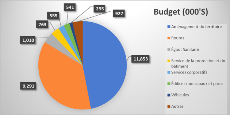 Figure 2 - Budget en immobilisation