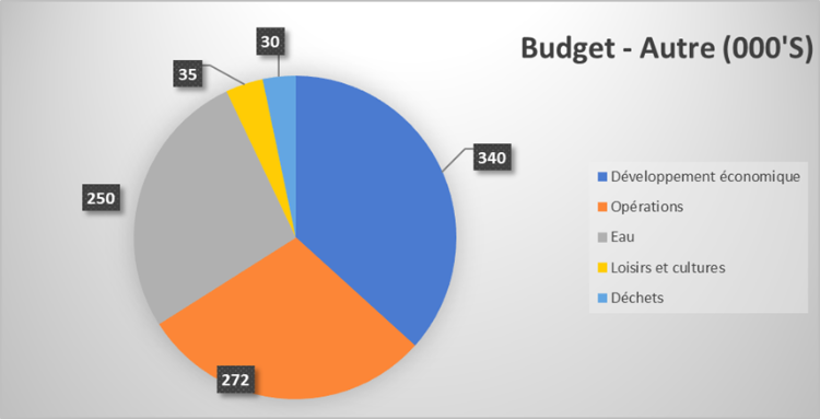 Figure 3 - Budget en immobilisation (Autre)