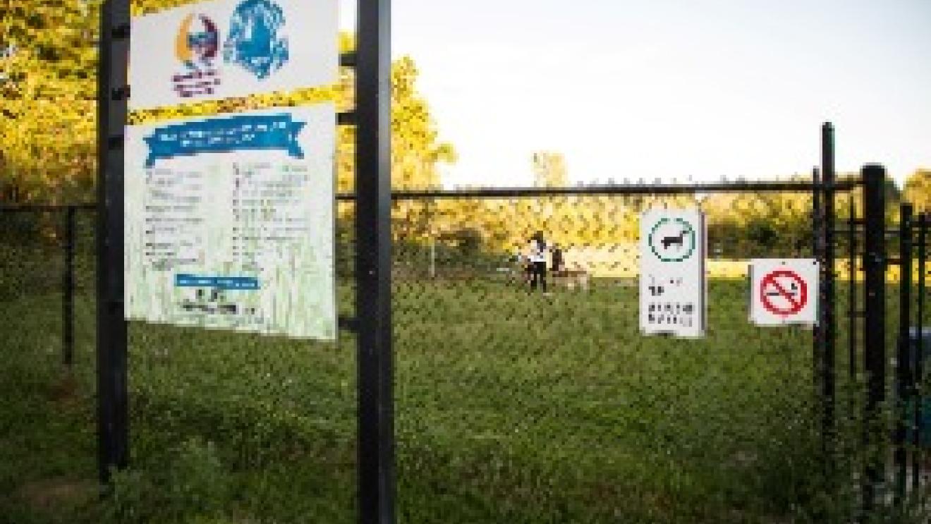 a fence bordering the dog park and a sign with rule and regulations