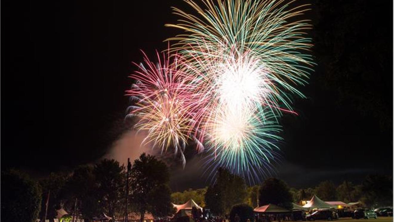 Fireworks bursting in a night sky over a park with trees and tents.