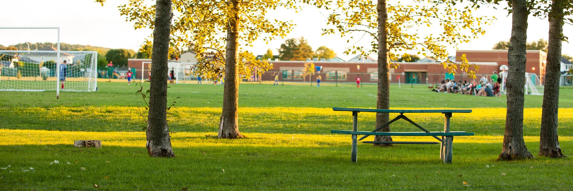 Park with trees, a bench, and a distant soccer field at sunset.