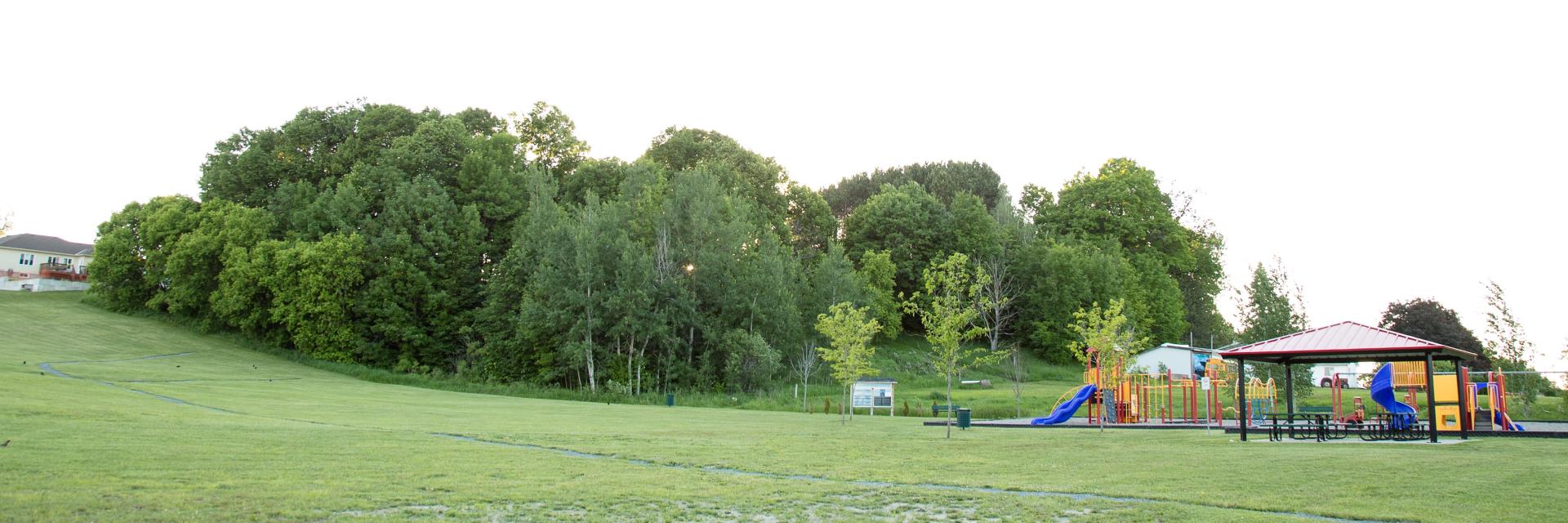 Playground with slide and trees on a grassy field.