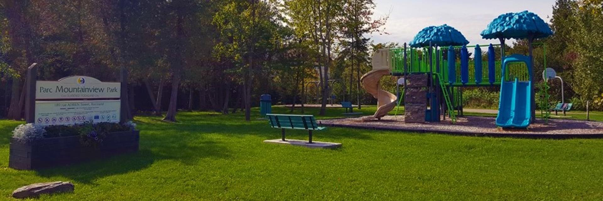 Playground with slides and climbing structure, surrounded by green grass and trees.