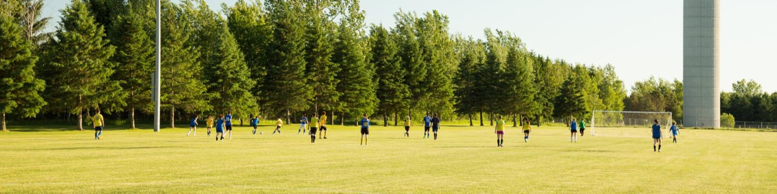 People playing soccer on a grassy field with trees in the background.