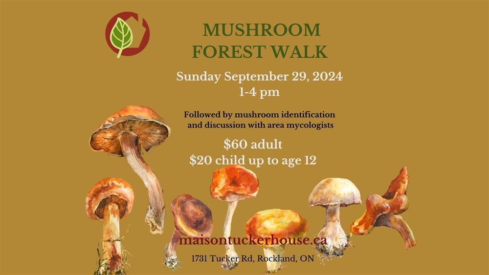mushroom forest walk sunday september 29, 2024 1-4pm | followed by mushroom identification and discussion with area mycologist
