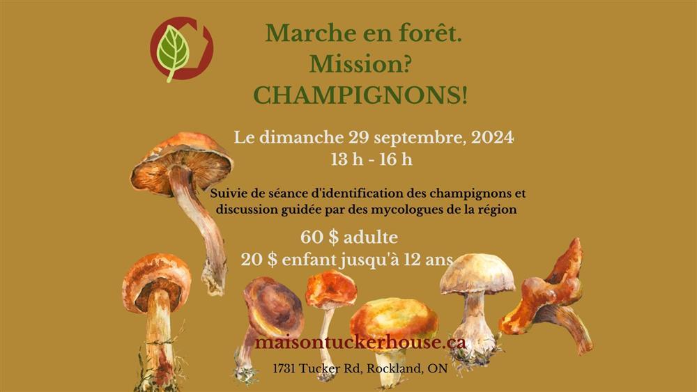 Promenade en forêt aux champignons – dimanche 29 septembre 2024, de 13 h à 16 h | suivie d’une identification des champignons et d’une discussion avec un mycologue de la région